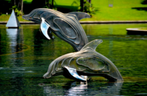 dolphins